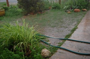 Water actually collecting on the ground