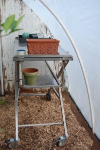 Seedling table and garden implements